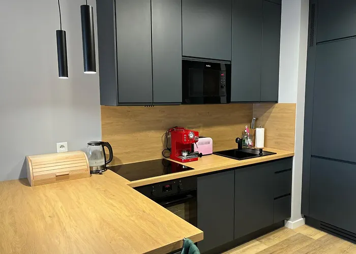 Daire Totu Today-sienna Grobla Apartamenty, Faktura Vat, Self Check-in Gdansk